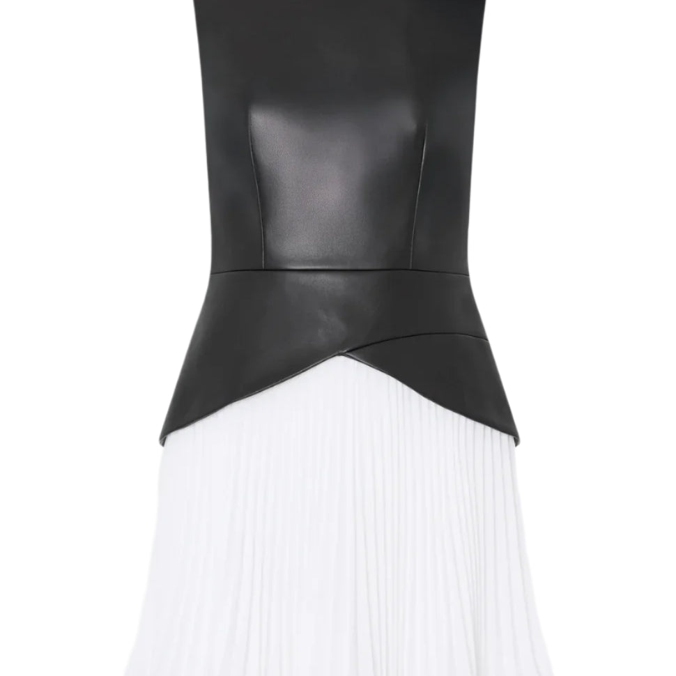 HADDY LEATHER PLEATED COMBO DRESS - Dresses - Sassanova