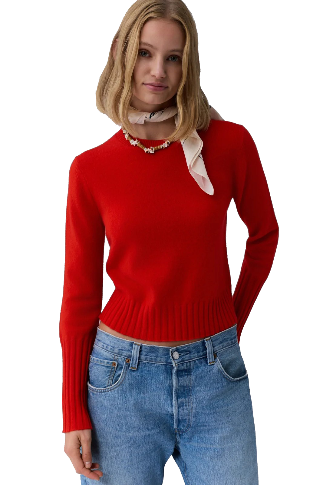 SHRUNKEN CREW - Sweaters - Sassanova