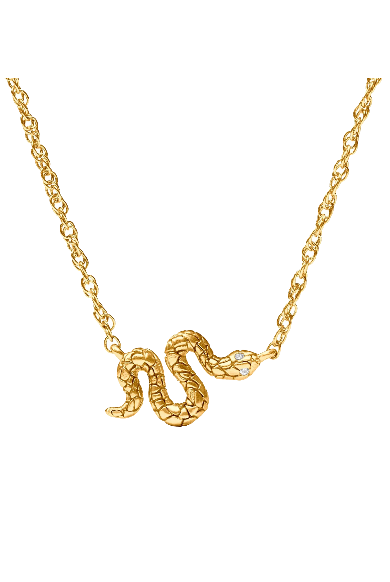 SNAKE DELICATE NECKLACE- GOLD - Necklaces - Sassanova