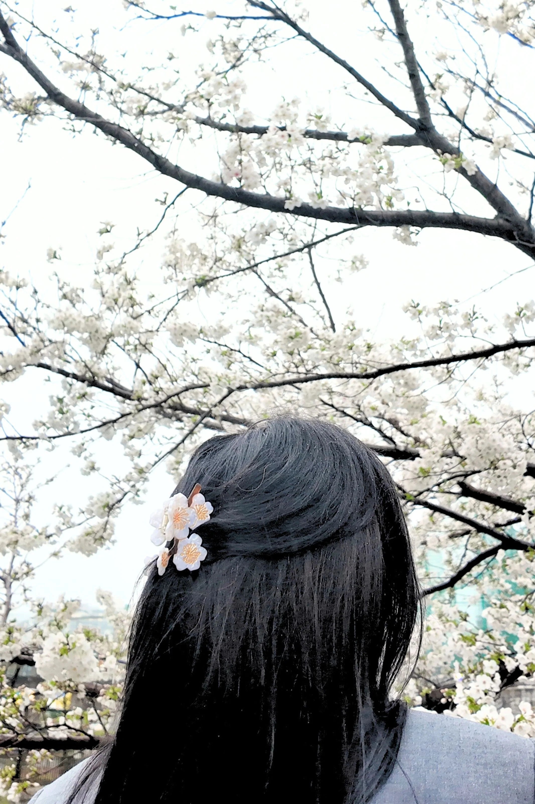 HAND PAINTED SNOW CHERRY BLOSSOM HAIR CLIP - sassanova