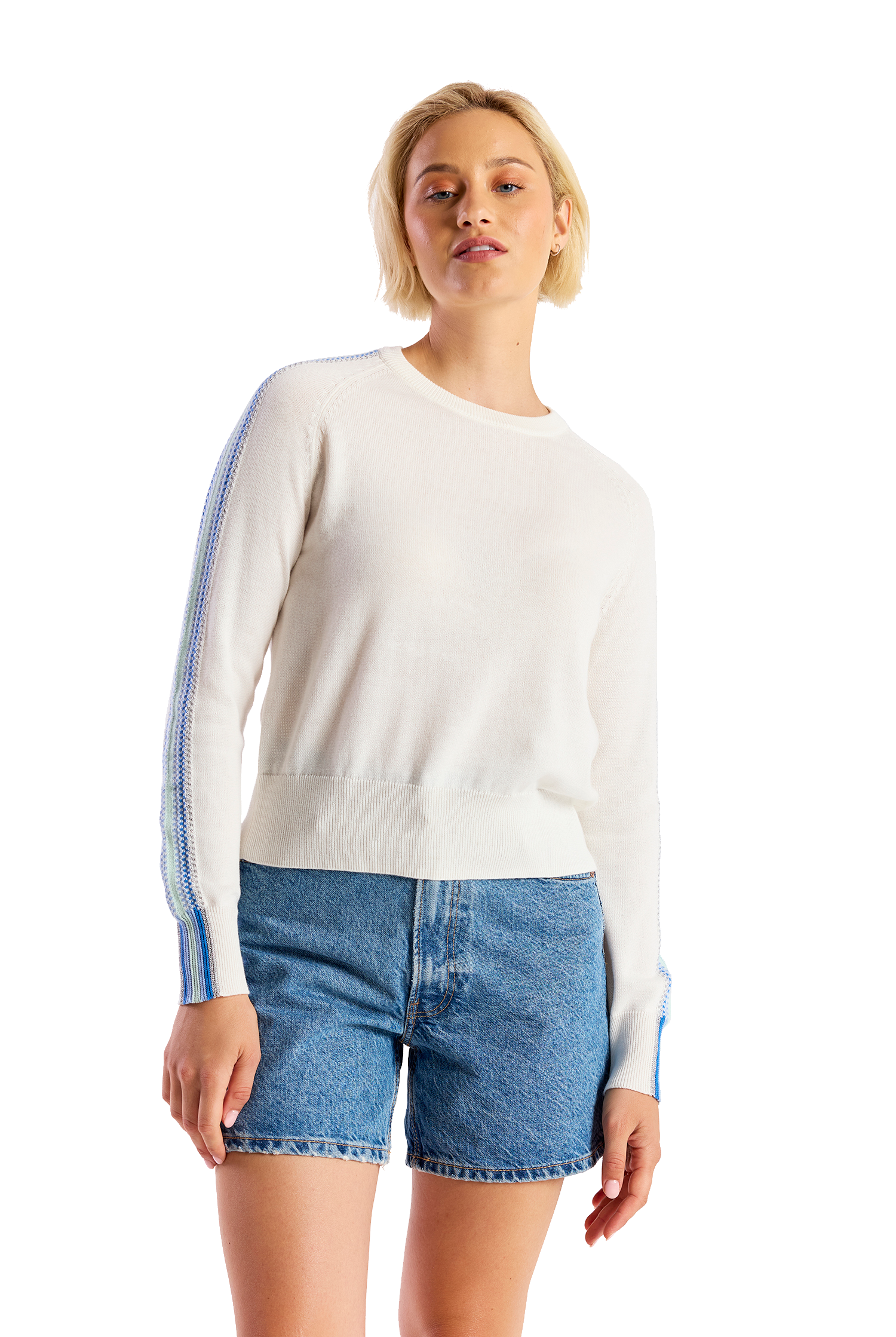 GEO SLEEVE CREW - Sweaters - Sassanova