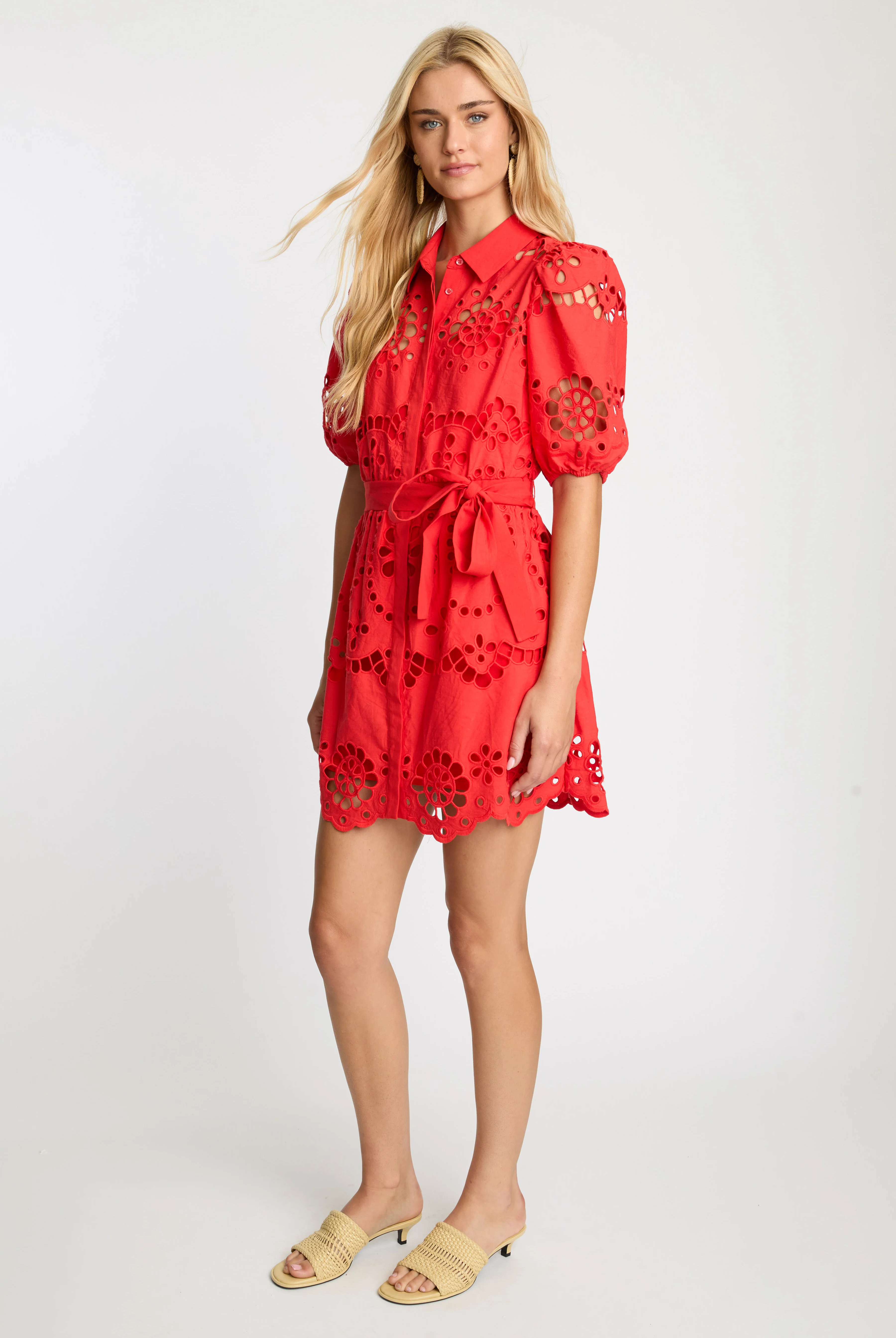 ELOISE EYELET DRESS - Dresses - Sassanova