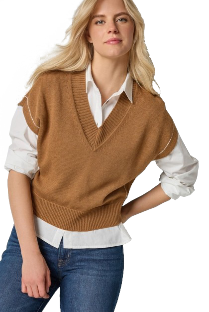 V-NECK WEDGE SWEATER (PA3213) - Sassanova