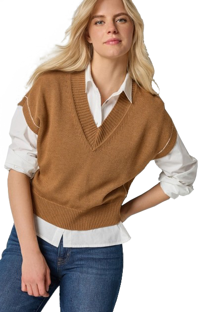 V-NECK WEDGE SWEATER (PA3213) - Sassanova