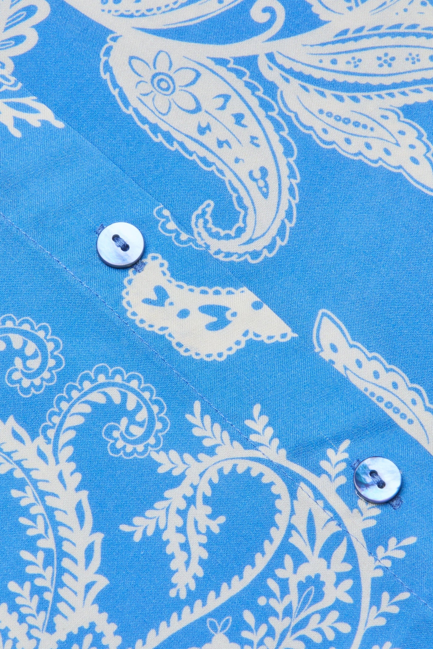 HOLLY L/S BLOUSE - Blouses - Sassanova