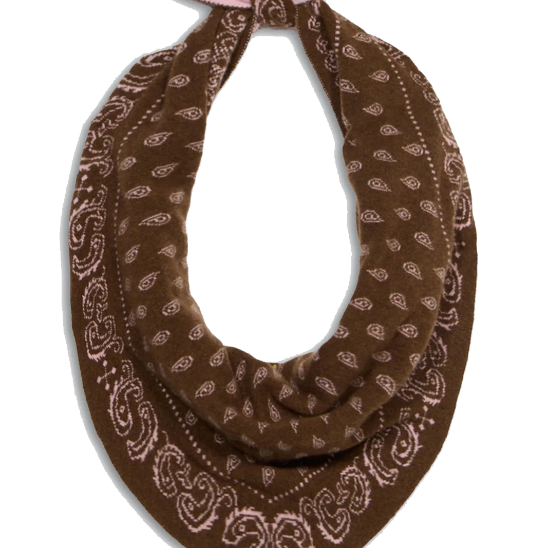 THE WILD RAG - Sassanova