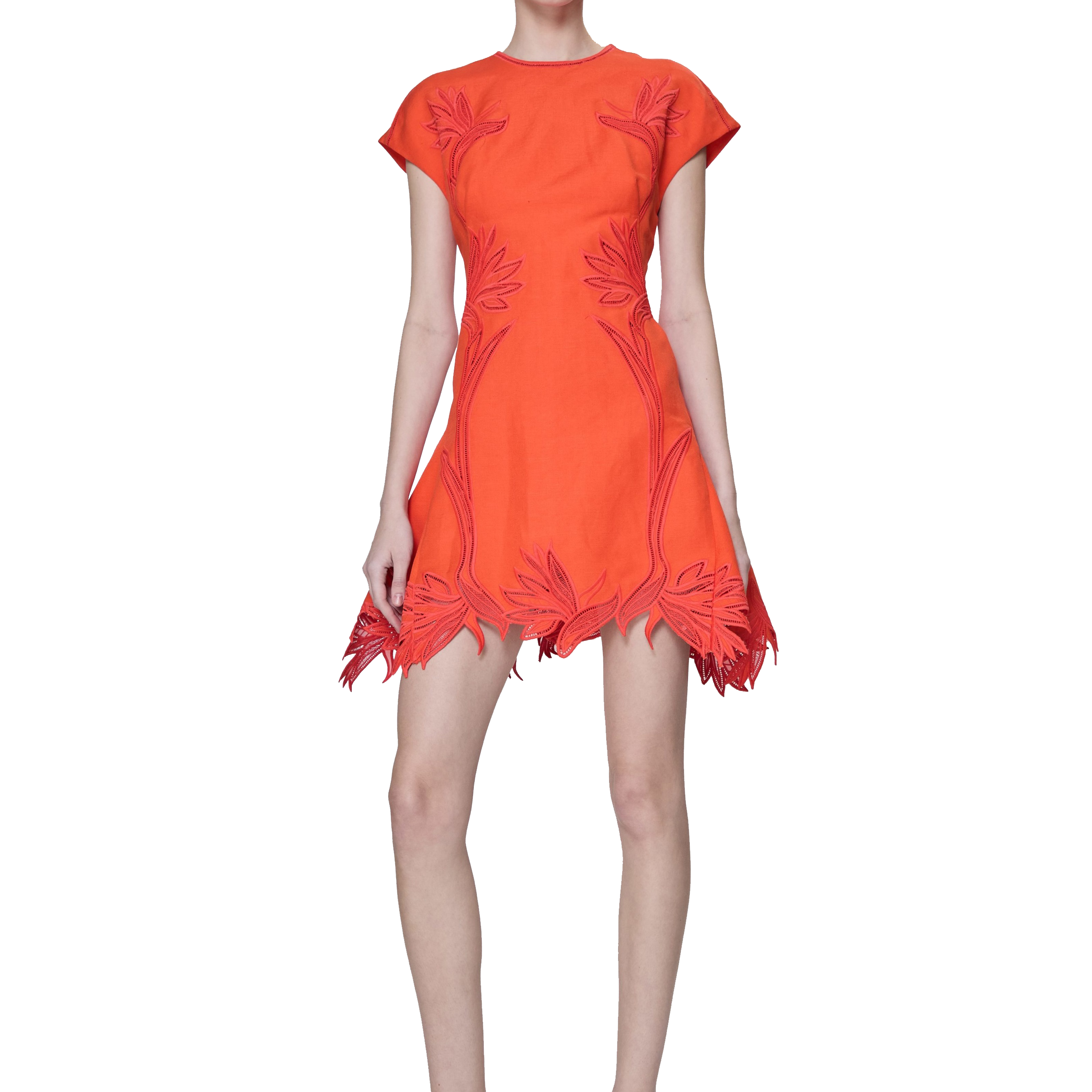 RAQUEL EMBROIDERED MINI DRESS - Dresses - Sassanova
