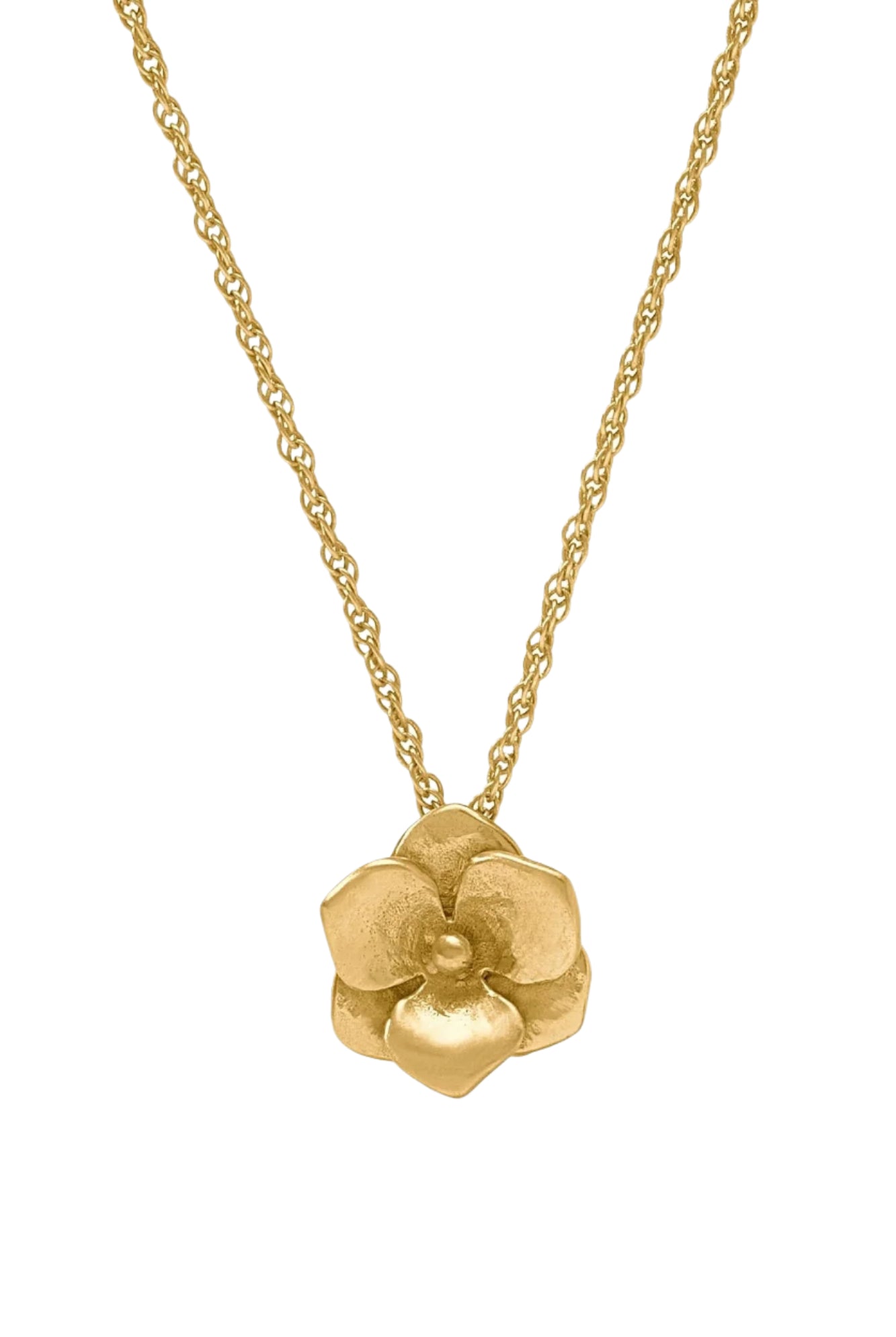 BLOOM DELICATE NECKLACE- GLD
sassanova