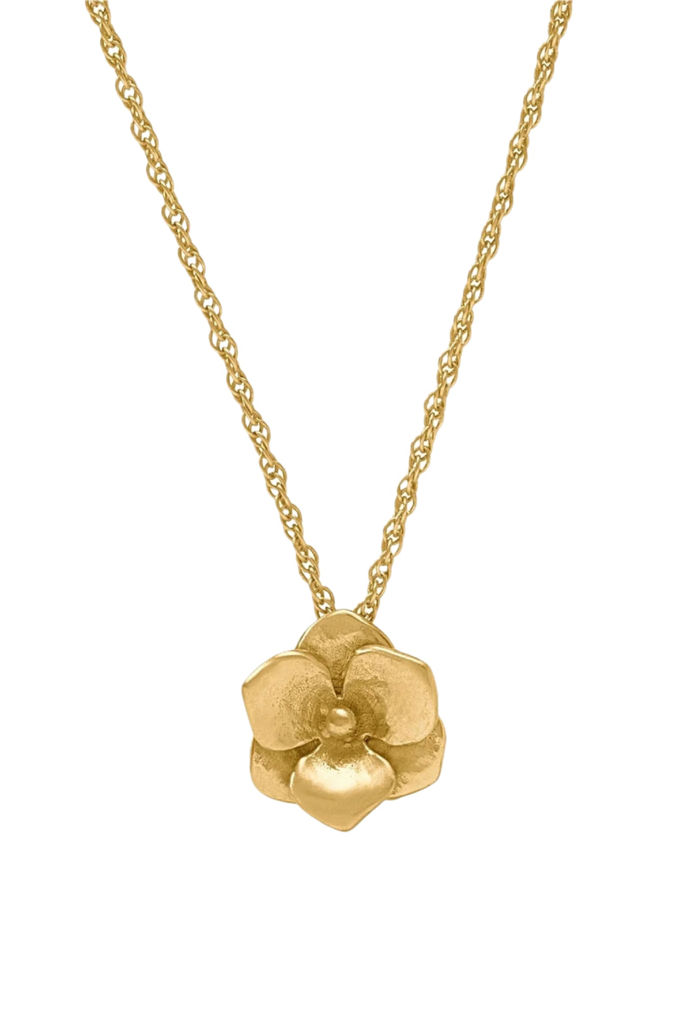 BLOOM DELICATE NECKLACE- GLD
sassanova