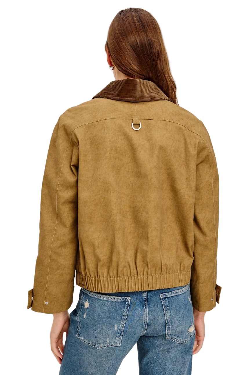 YORK JACKET
sassanova