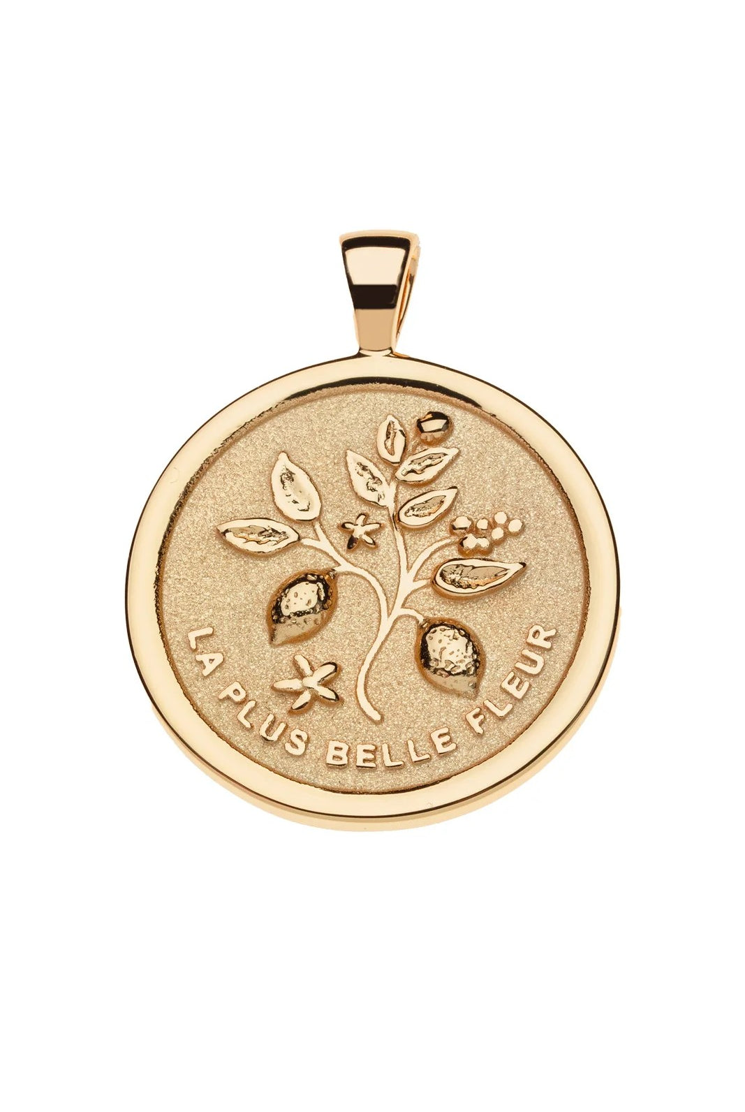 GRATITUDE ORIGINAL NECKLACE- DRAWN LINK CHAIN- Necklaces - Sassanova