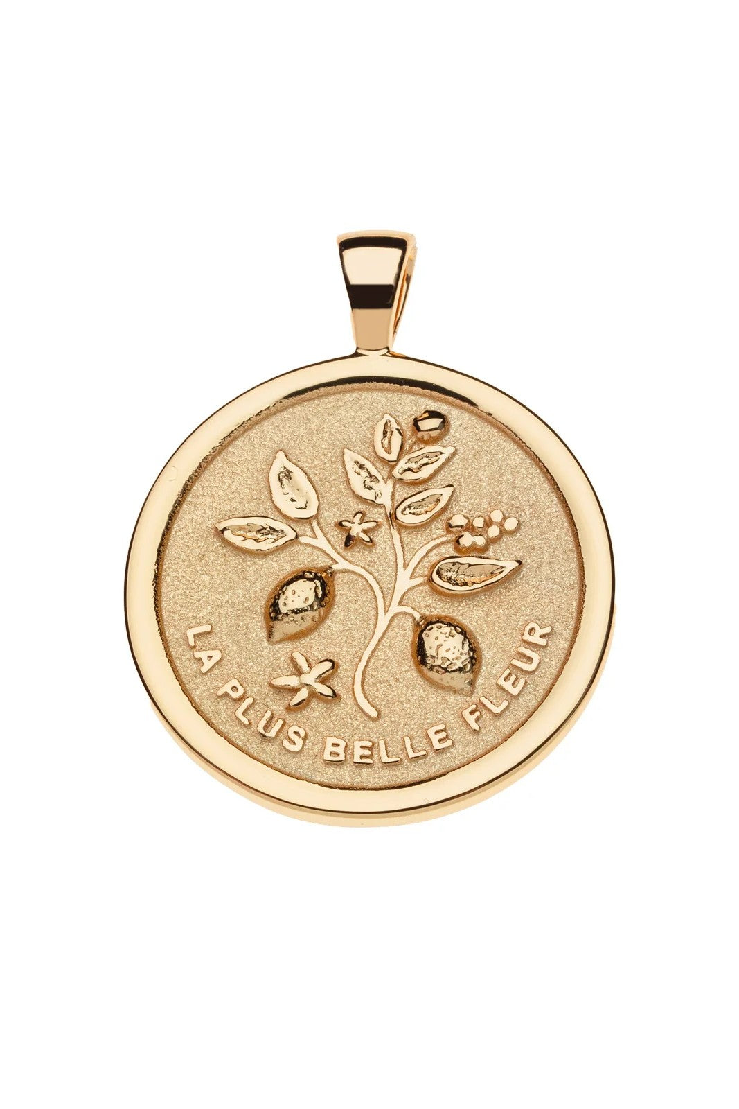 GRATITUDE ORIGINAL NECKLACE- DRAWN LINK CHAIN-Sassanova