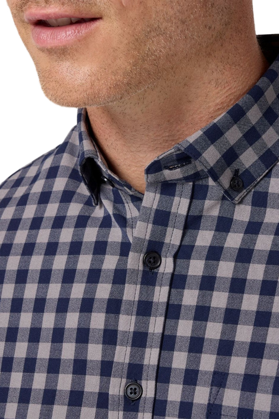 nickel hayes gingham-sassanova