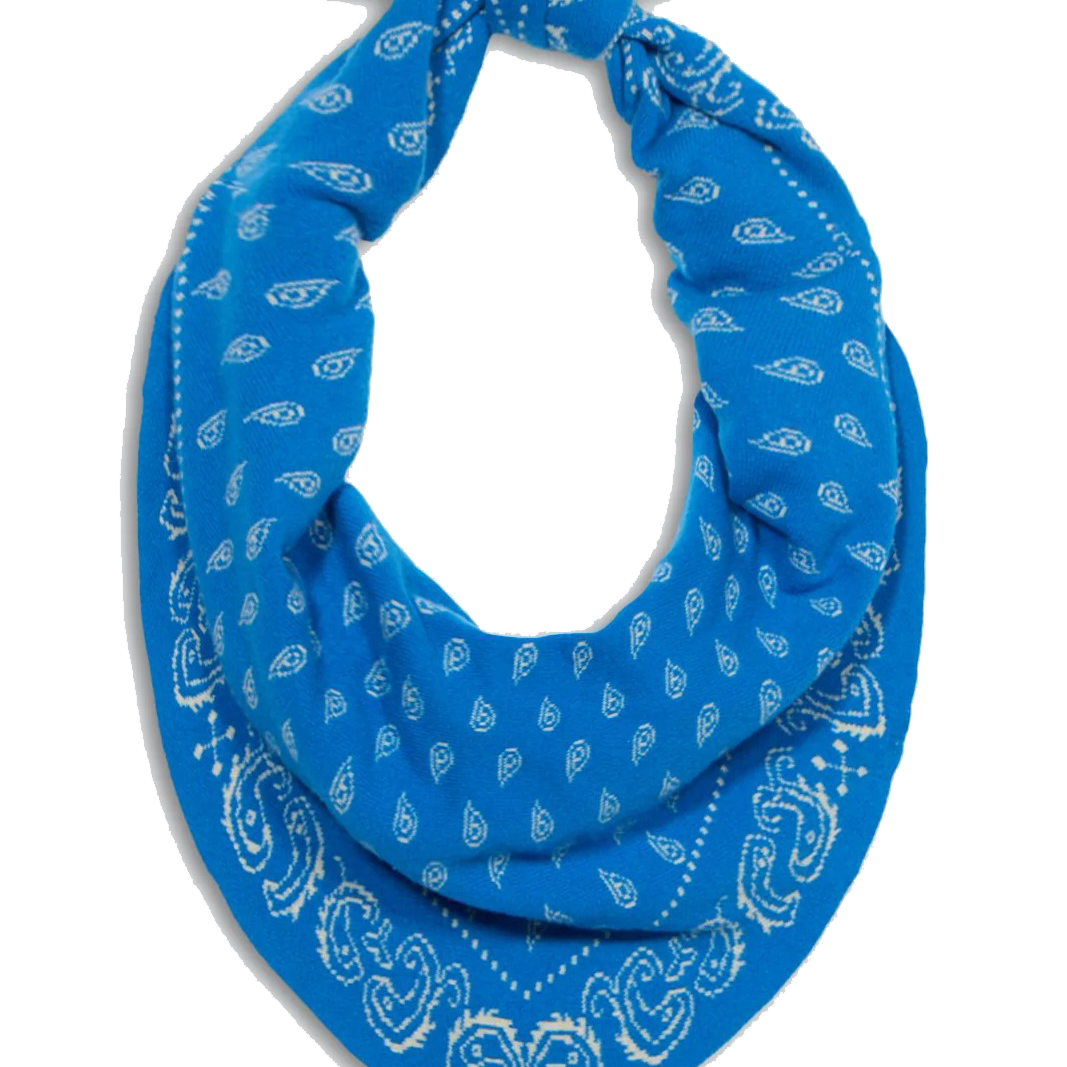 THE WILD RAG - Sassanova