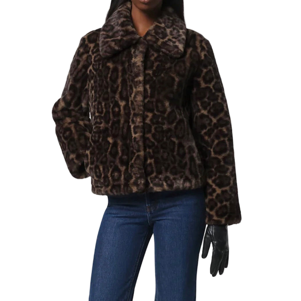 ELIS LEOPARD COAT
sassanova