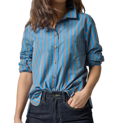 STRIPED BUTTON DOWN (PA3235) - Sassanova