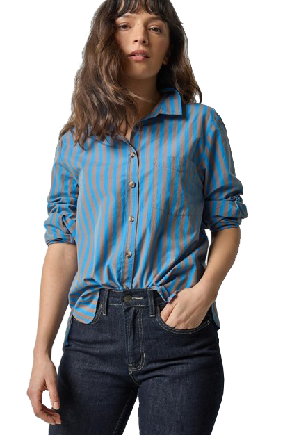 STRIPED BUTTON DOWN (PA3235) - Sassanova