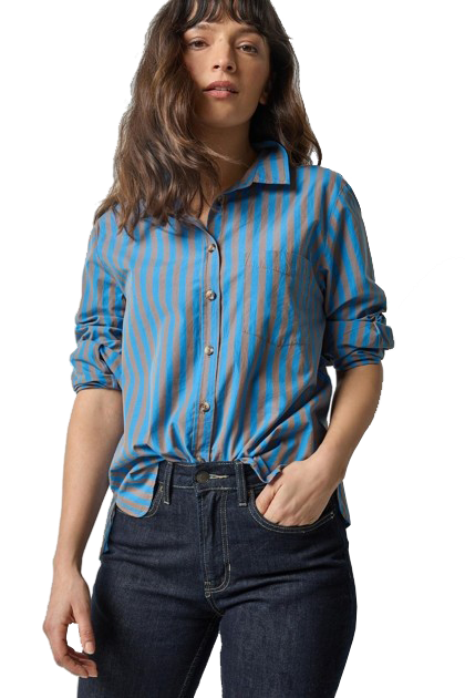 STRIPED BUTTON DOWN (PA3235) - Sassanova