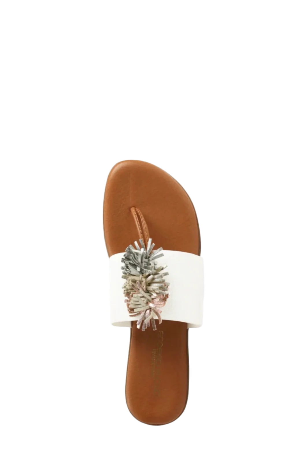 NOVALEE SANDAL
sassanova