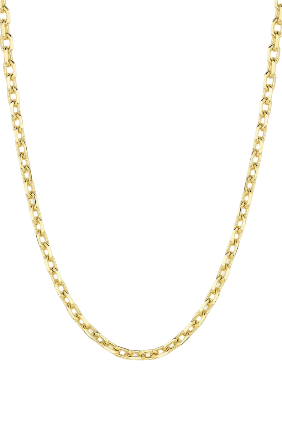 ASHER NECKLACE- GOLD
sassanova
