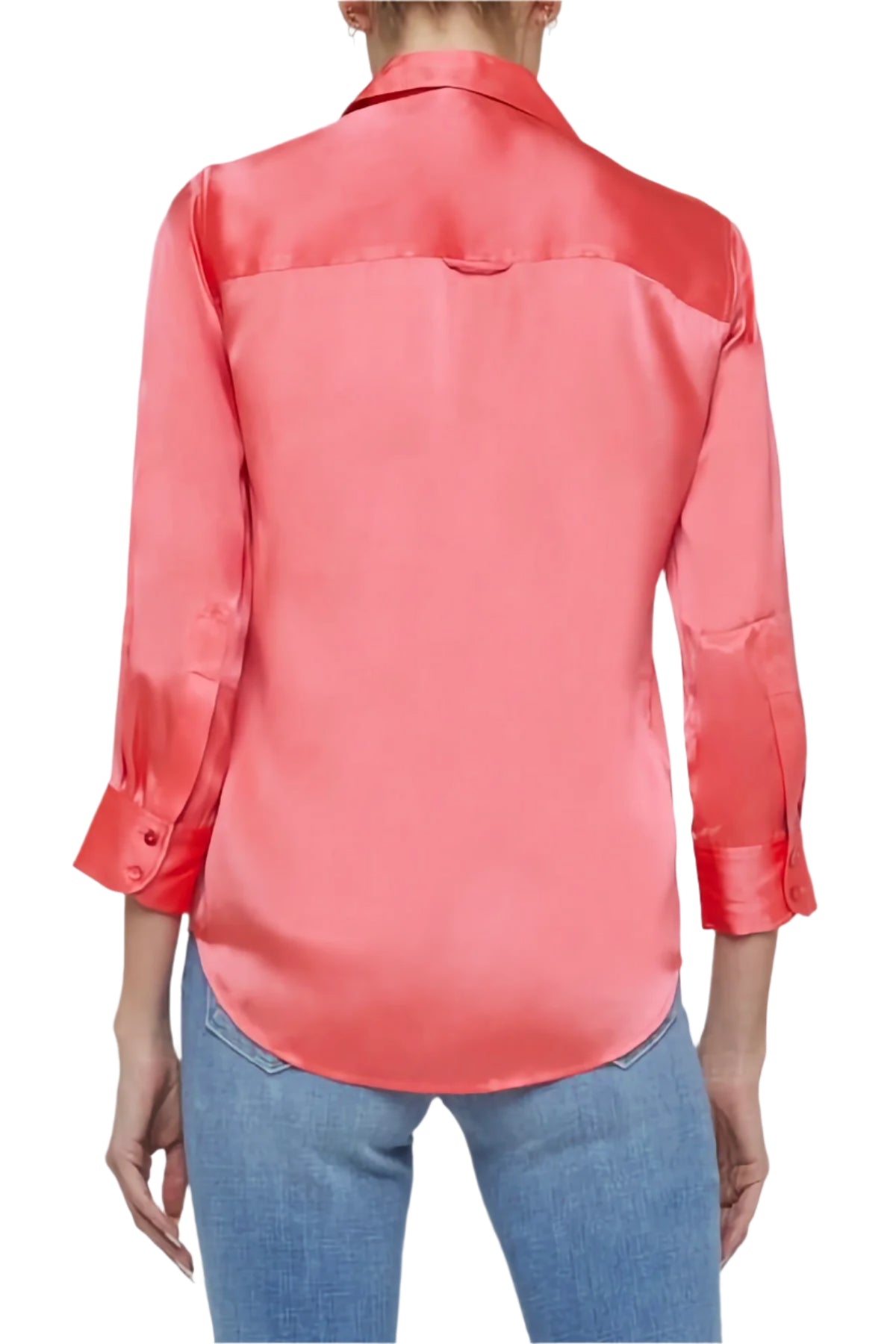 DANI 3/4 SLV BLOUSE 2 - Blouses - Sassanova