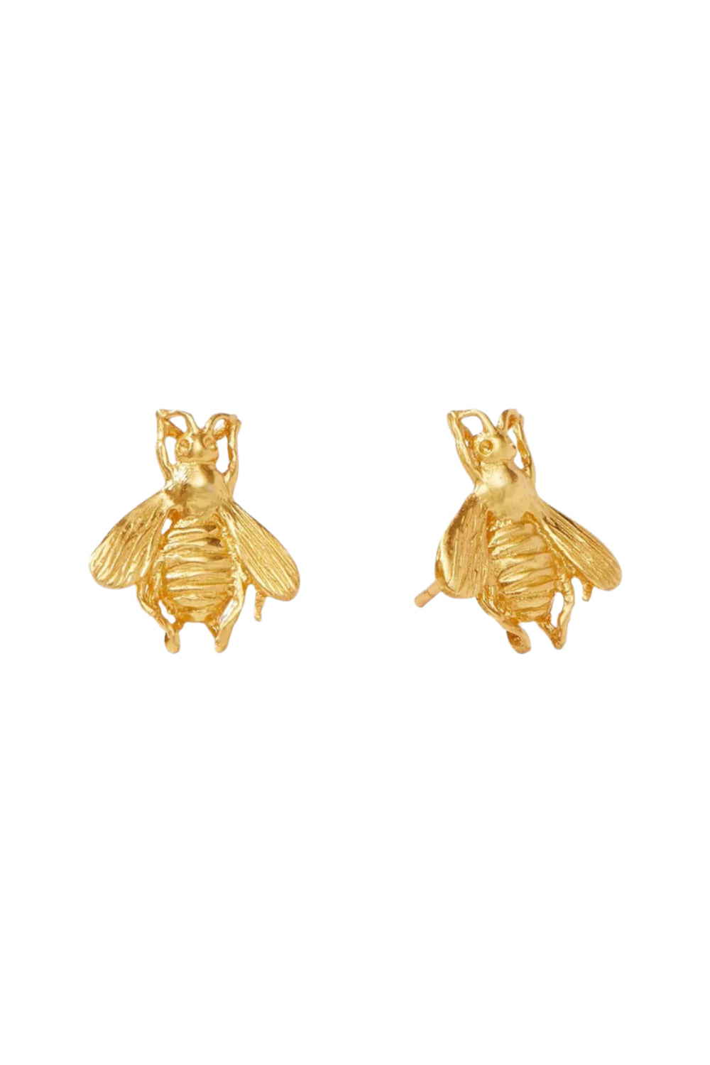 BEE STUD GOLD
sassanova