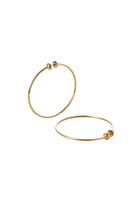 ICON HOOPS - MED
sassanova