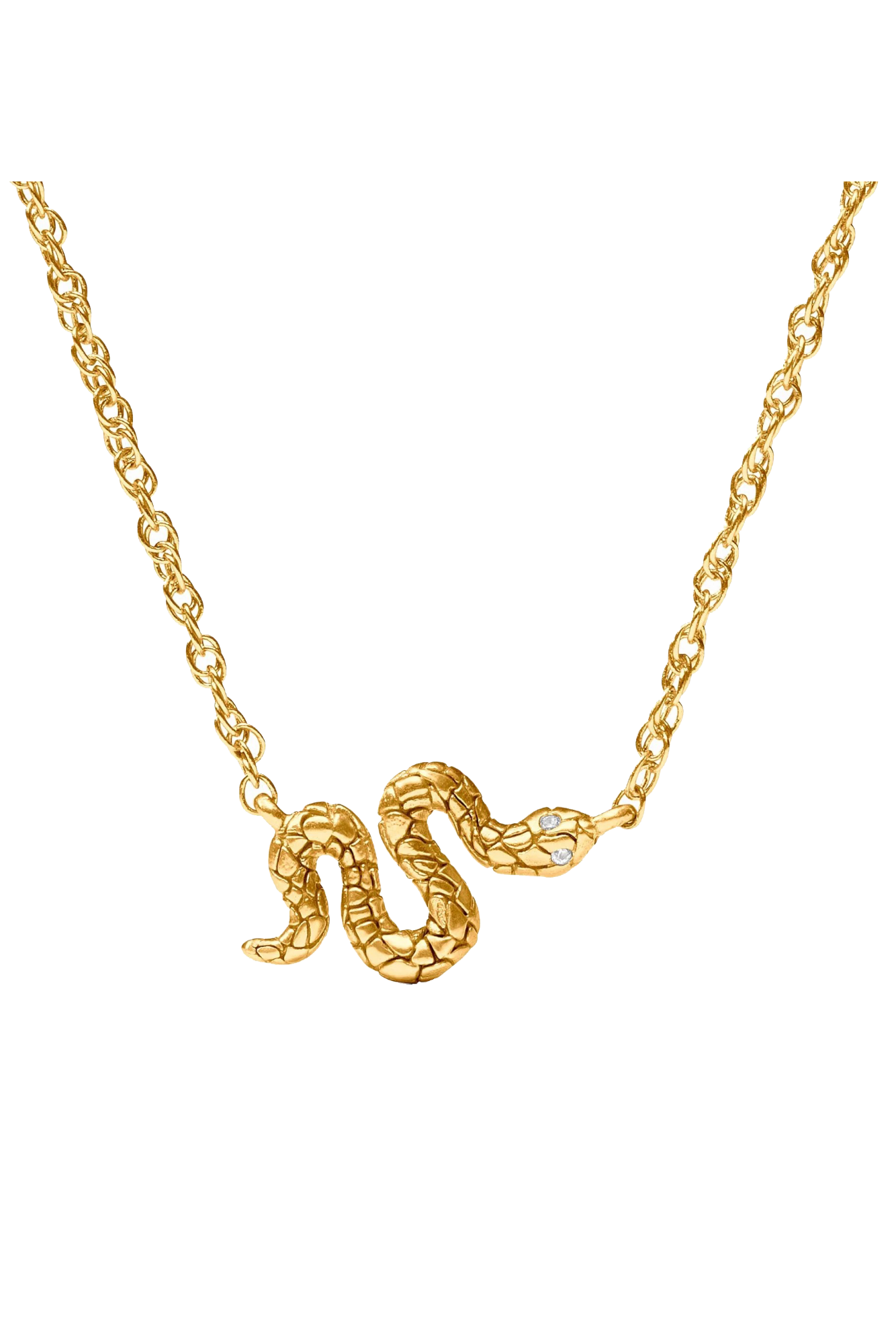 SNAKE DELICATE NECKLACE- GOLD - Necklaces - Sassanova