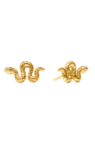 SNAKE STUD- GOLD - Earrings - Sassanova