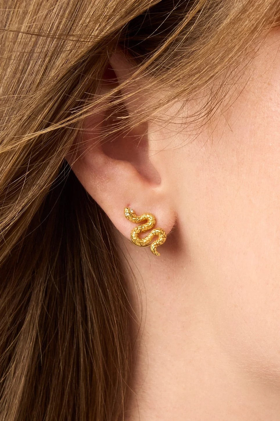 SNAKE STUD- GOLD - Earrings - Sassanova