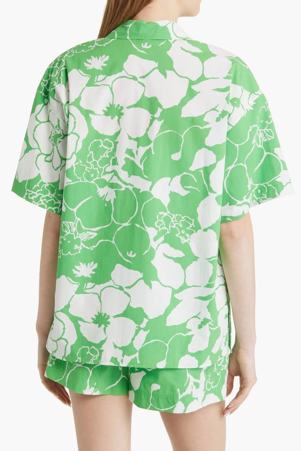 MACKINLEY TOP