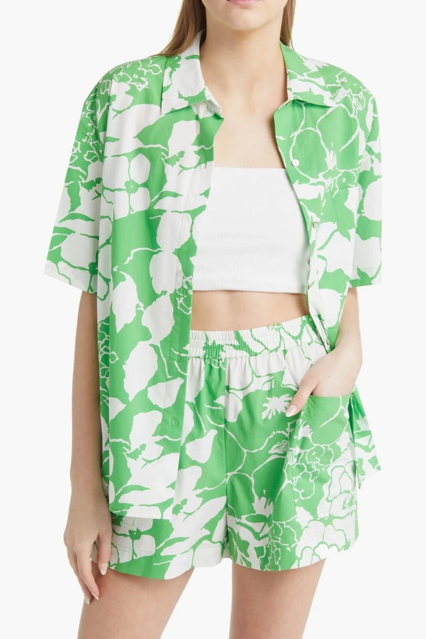 MACKINLEY TOP