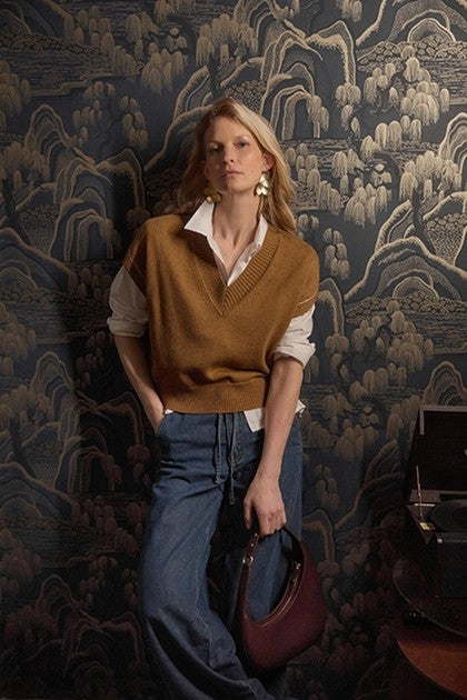 V-NECK WEDGE SWEATER (PA3213) - Sassanova