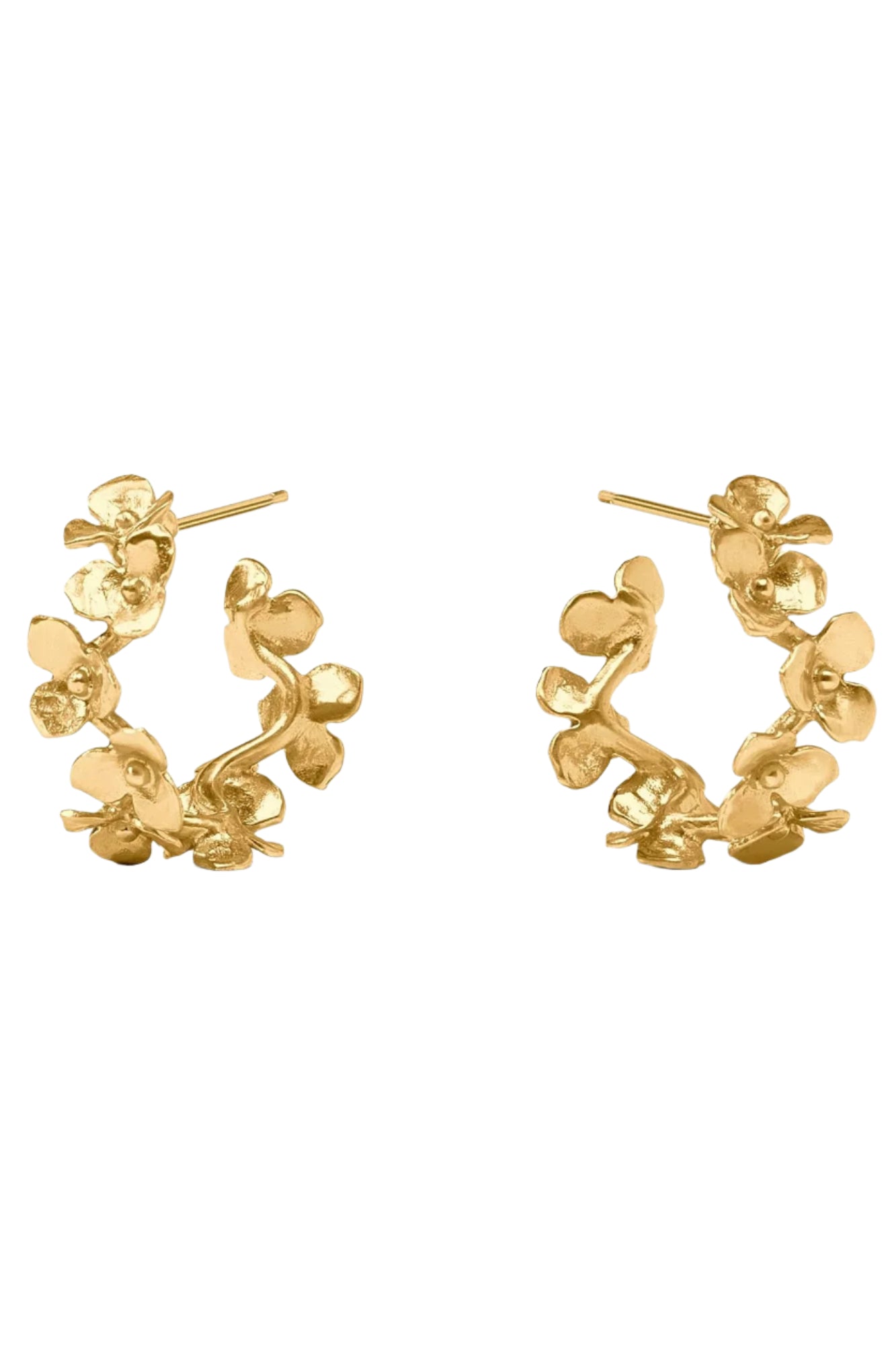 BLOOM SM HOOP- GLD
sassanova