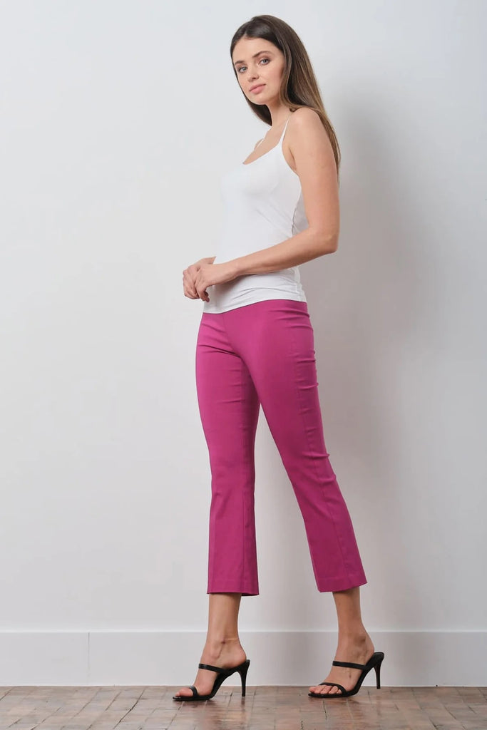 Spanx Pants Womens 27 Light Pink High Waist Stretch Crop Signature Capri  Slim