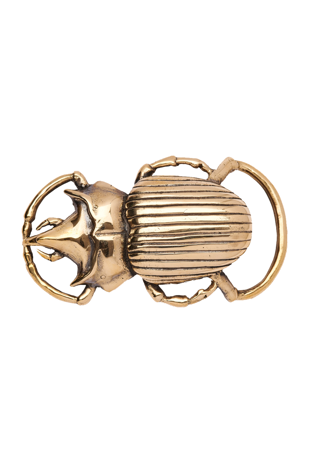 GOLD BEETLE BUCKLE - Belts - Sassanova