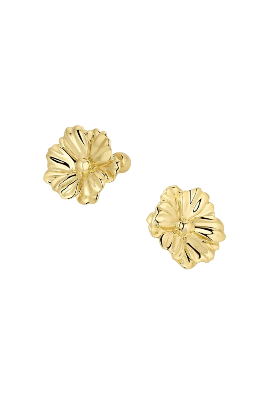 CAMILA STUDS- GLD
sassanova