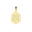 STRONG SHIELD PENDANT- CLASSIC ROLO CHAIN - sassanova