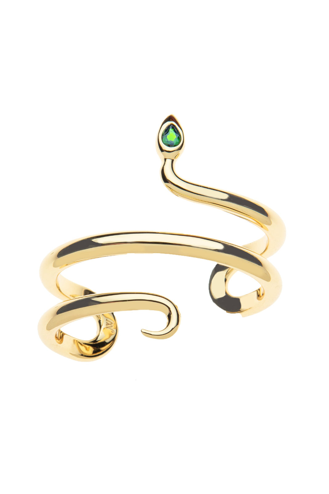 PROTECT SNAKE CUFF - Bracelets - Sassanova