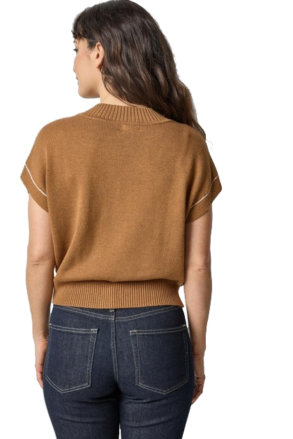 V-NECK WEDGE SWEATER (PA3213) - Sassanova