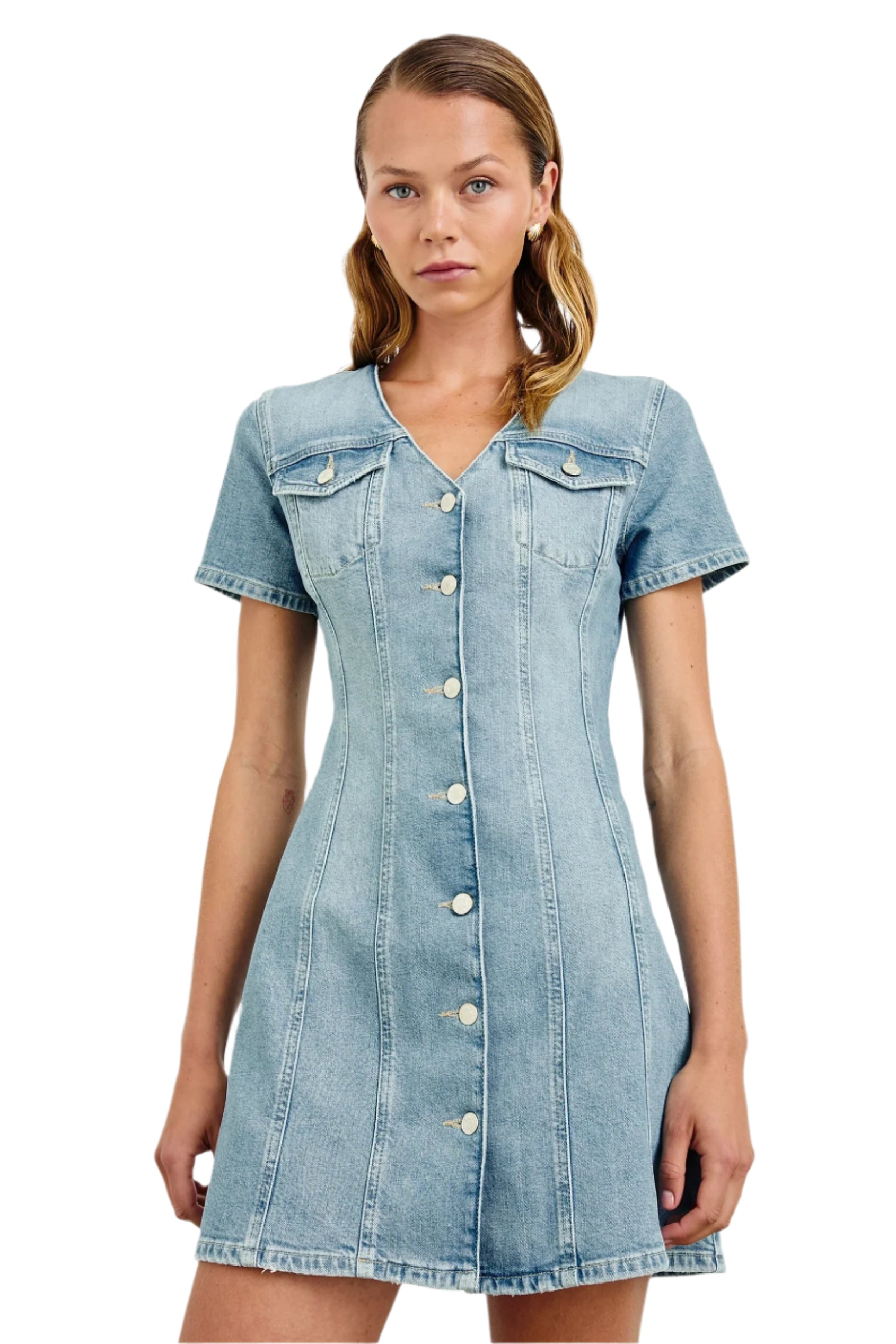 SARATOGA DRESS