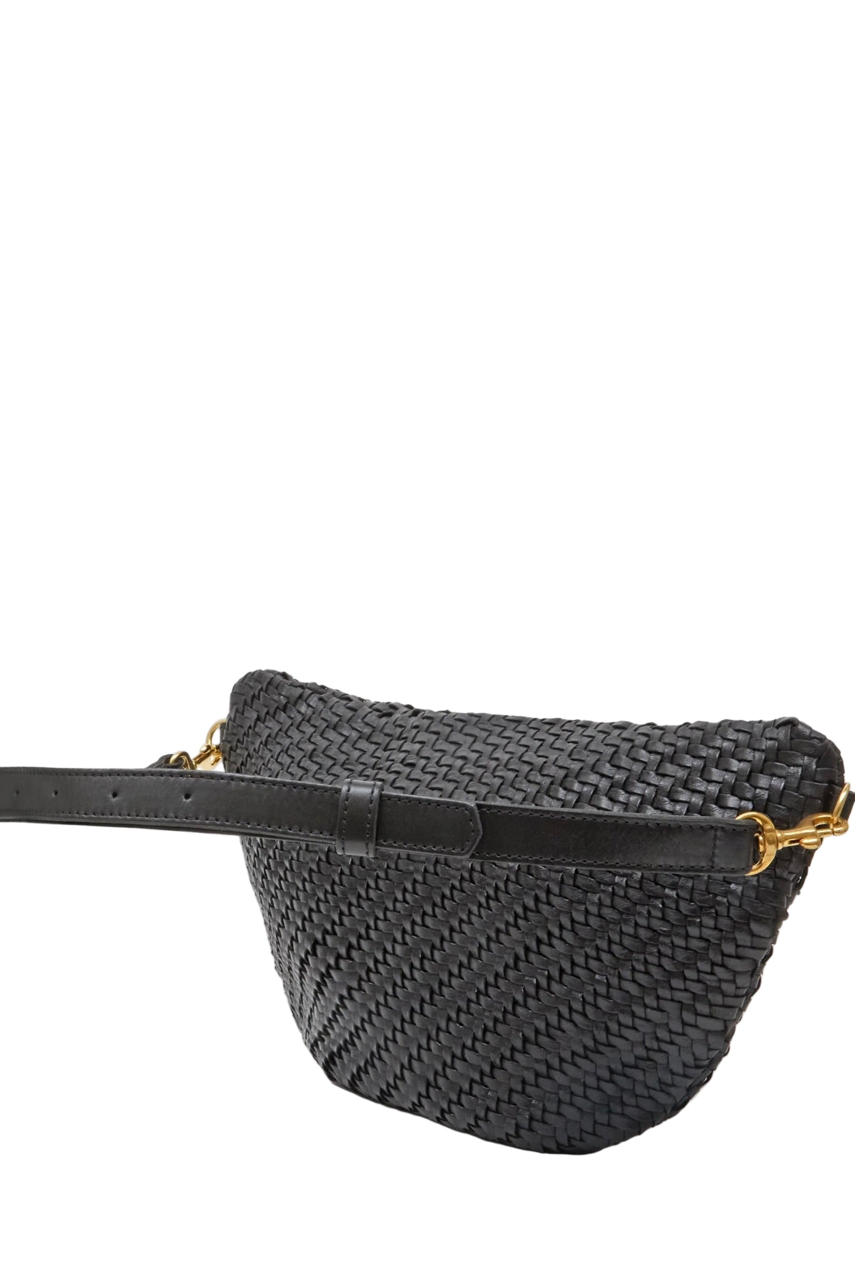 GRANDE FANNY
sassanova