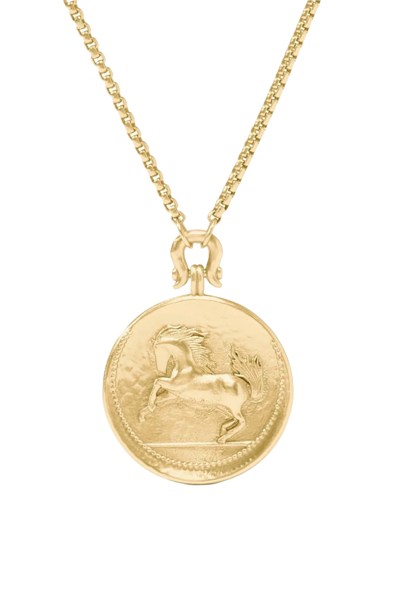 SARATOGA HORSE NECKLACE- GLD
sassanova