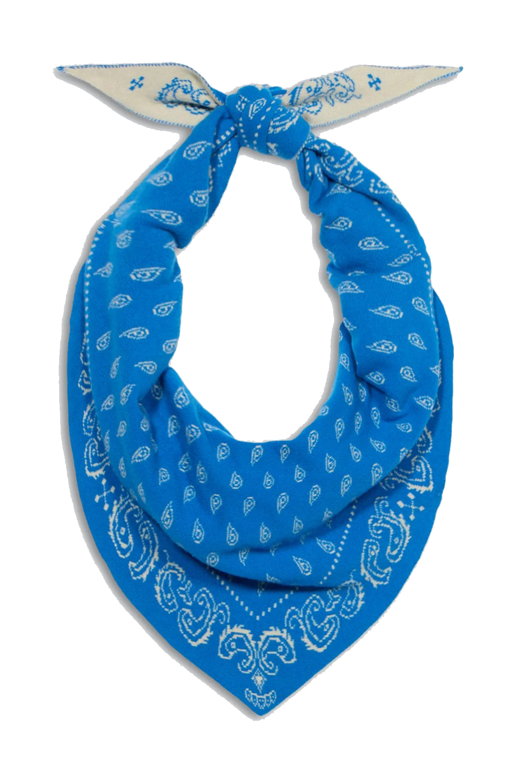 THE WILD RAG - Sassanova