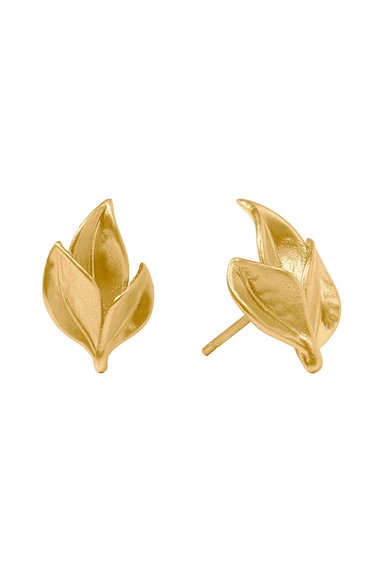 WILLOW STUD- GOLD - Earrings - Sassanova
