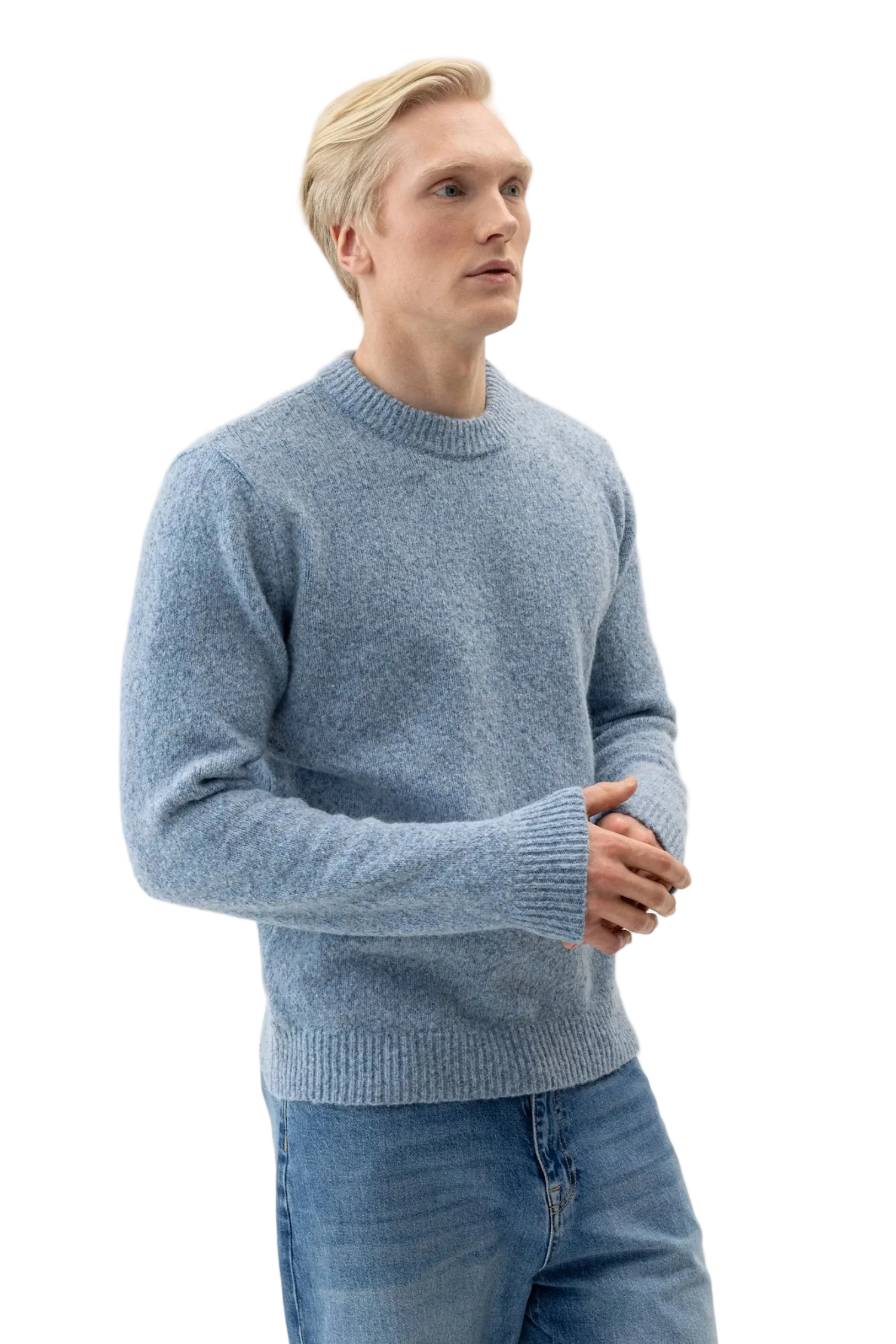 LIAM CREWNECK SWEATER Sassanova / Novaman