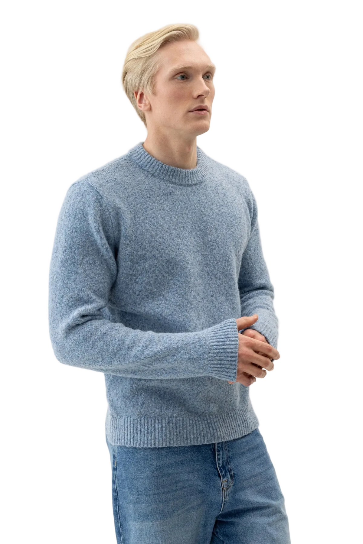 LIAM CREWNECK SWEATER Sassanova / Novaman