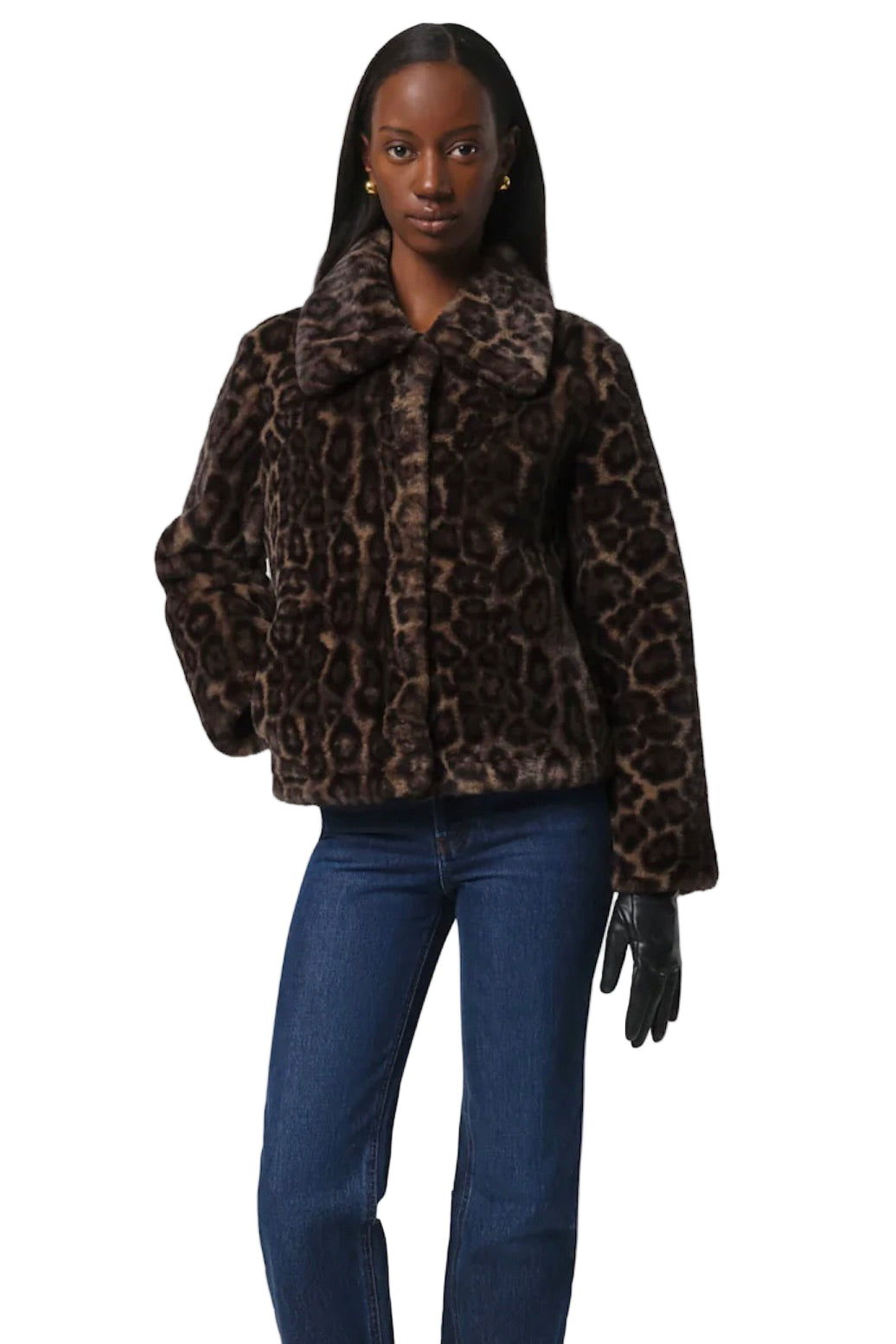 ELIS LEOPARD COAT
sassanova