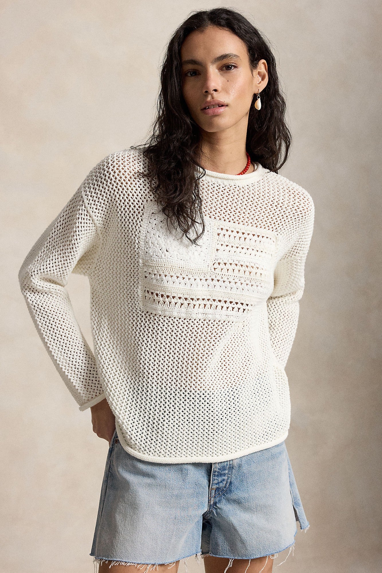 TONAL FLAG LONG SLEEVE PULLOVER - Sweaters - Sassanova