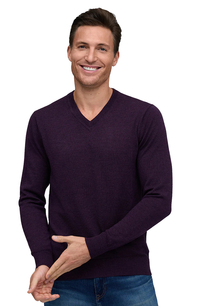 CLASSIC V-NECK SWEATER